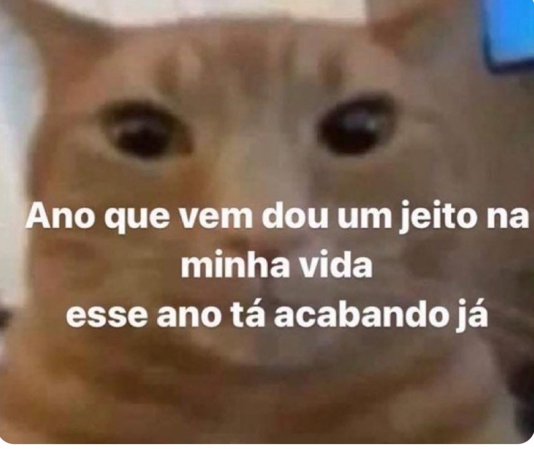 paginalixo1's tweet photo. https://t.co/hd74VwtXFn