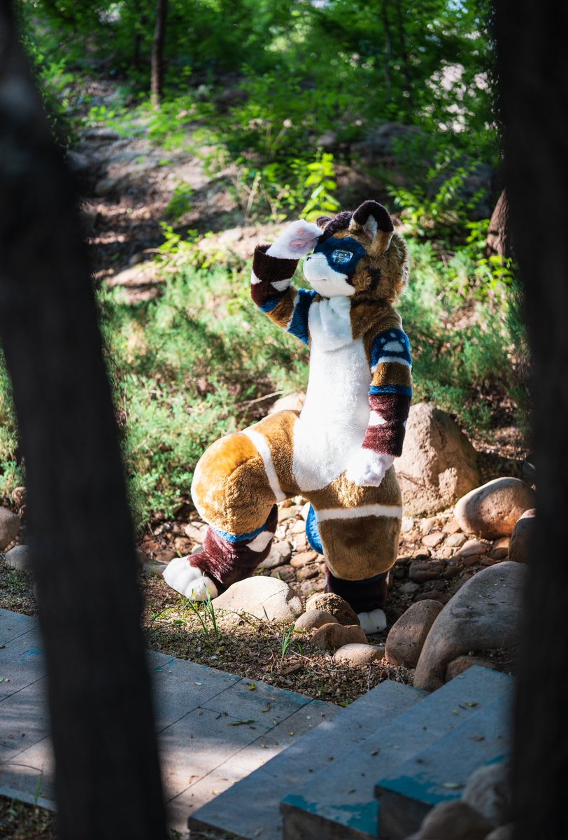 寻踪

Photo by <a href="/YIbaibai_/">慕容涵</a> 
#FursuitFriday