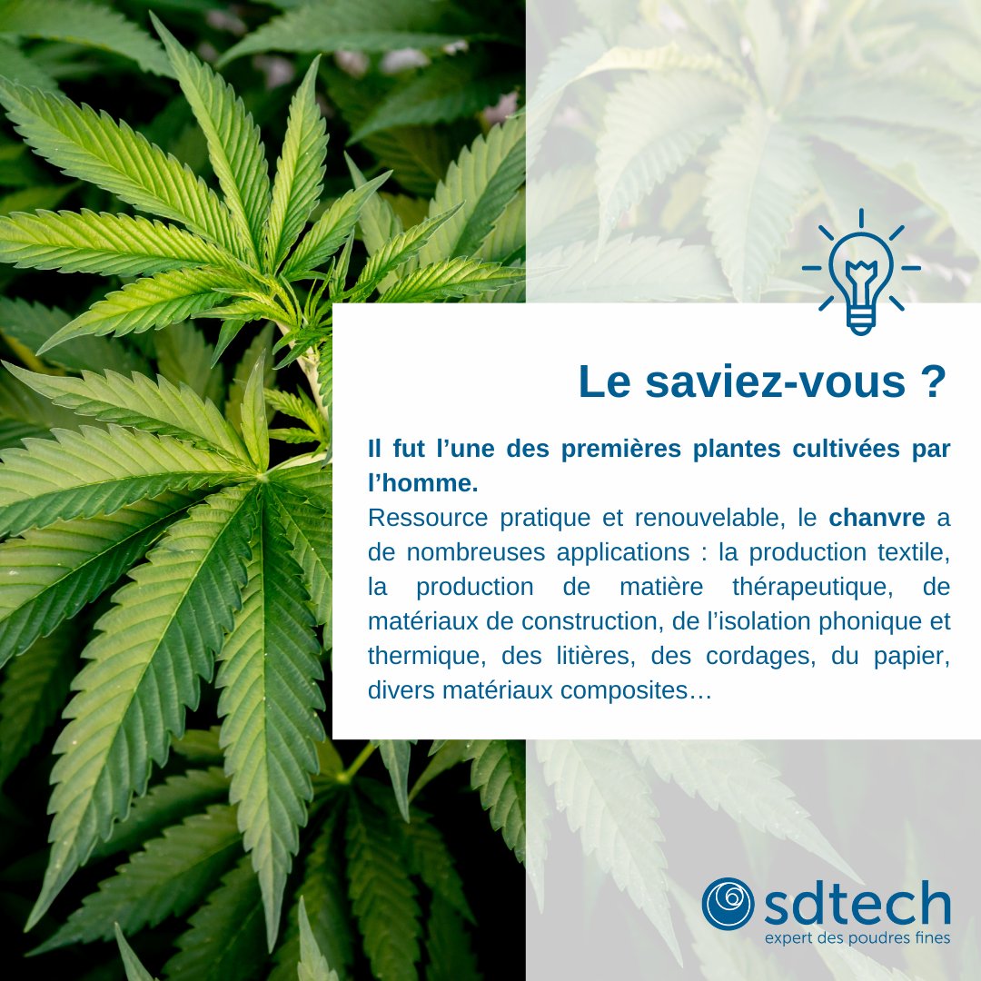 SDTech_Groupe's tweet image. [Le saviez-vous?]
Le chanvre fut l’une des premières plantes cultivées par l’homme.
@SDTech_Groupe peut vous accompagner dans le façonnage de ce produit biosourcé et sa transformation en poudre fine pour incorporation de vos produits finis
#chanvre #biosourcé #innovation #poudres