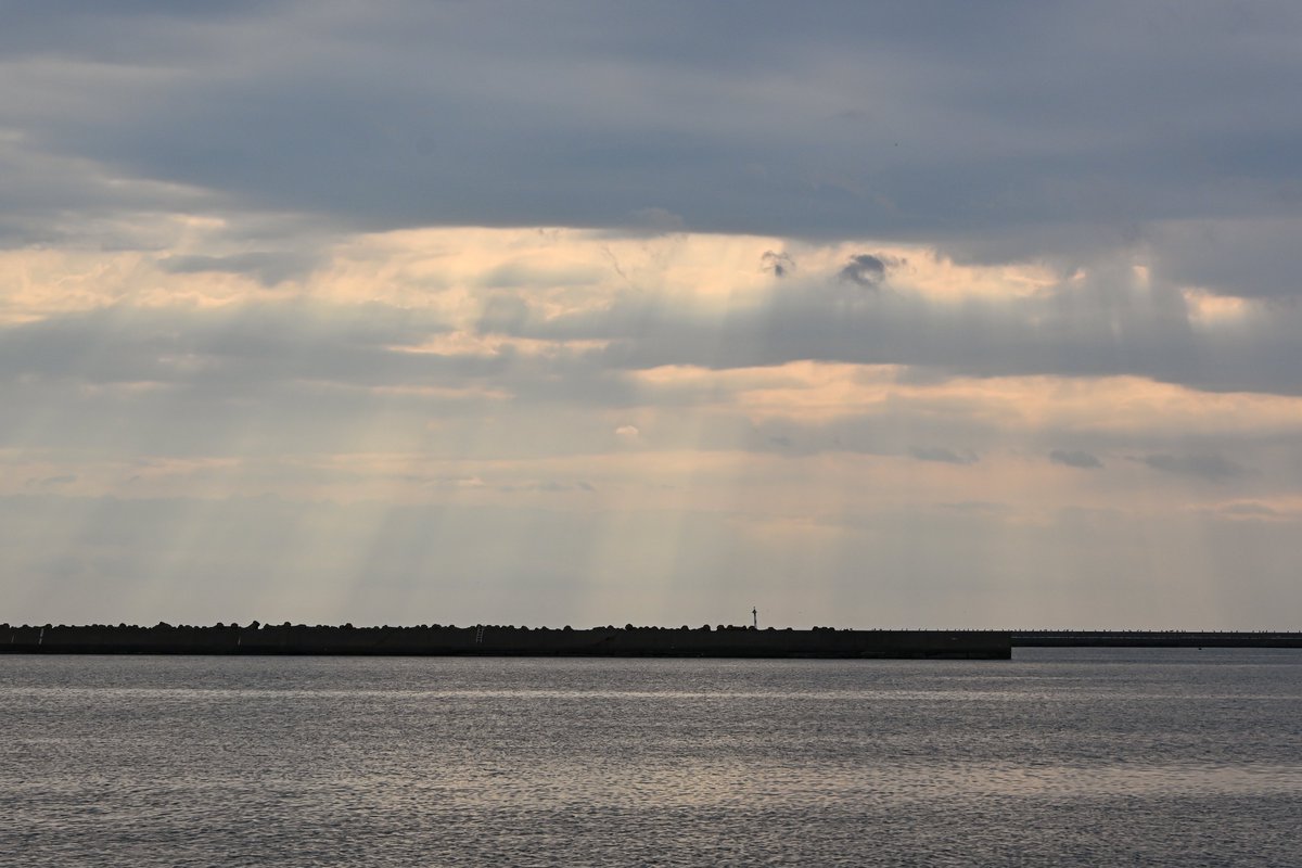 降り注ぐ光

#キリトリセカイ #ファインダー越しの私の世界 #photography