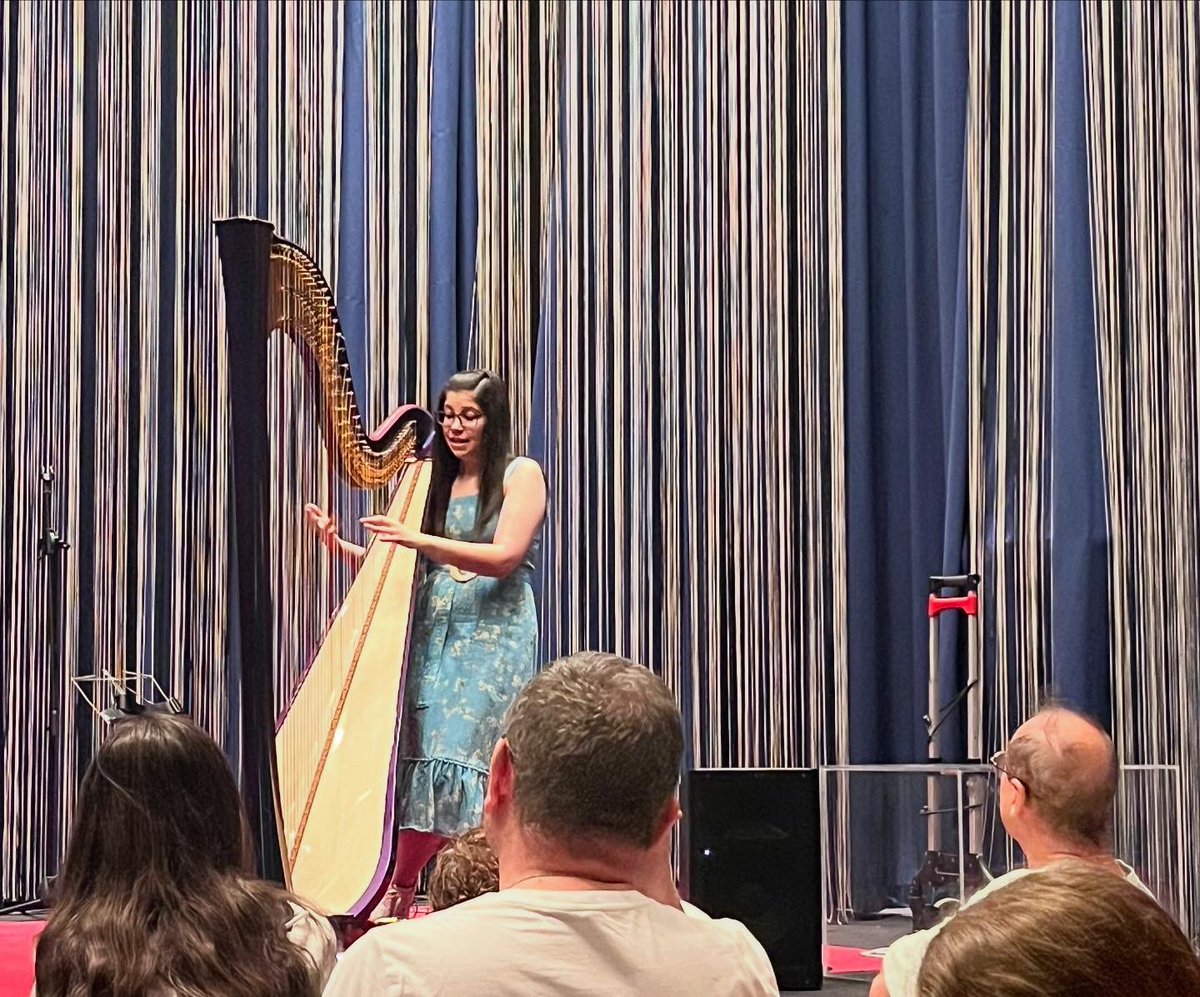 Laboratorio de arpas eléctricas y electroacústicas, con <a href="/WhiteveilHarp/">Whiteveil 🪉</a> 💙