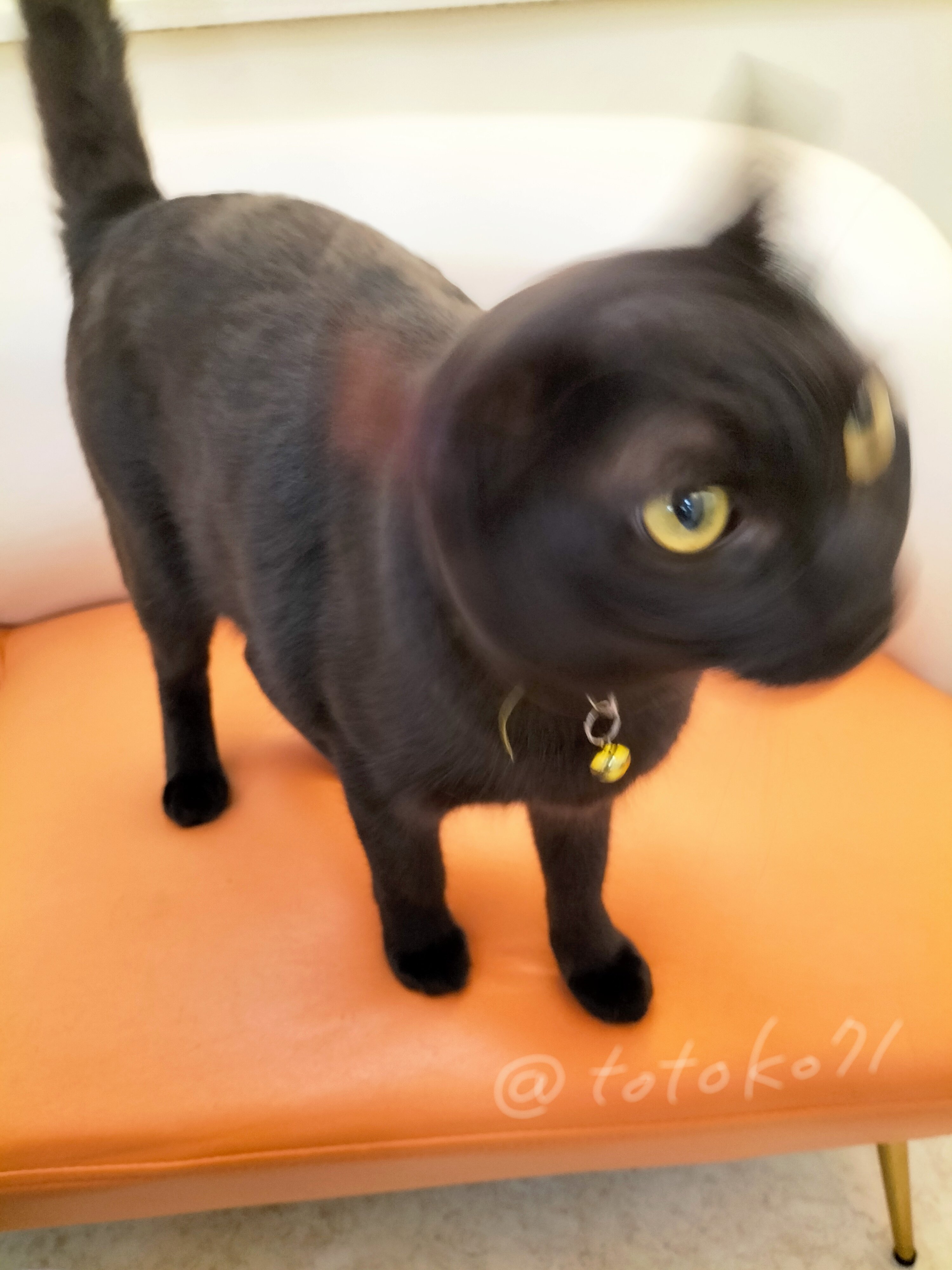 ととこ on X: 