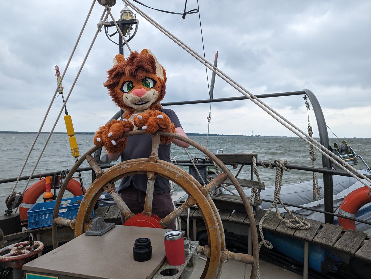 I'm on a boat!!

Where should we go? :3

#FursuitFriday