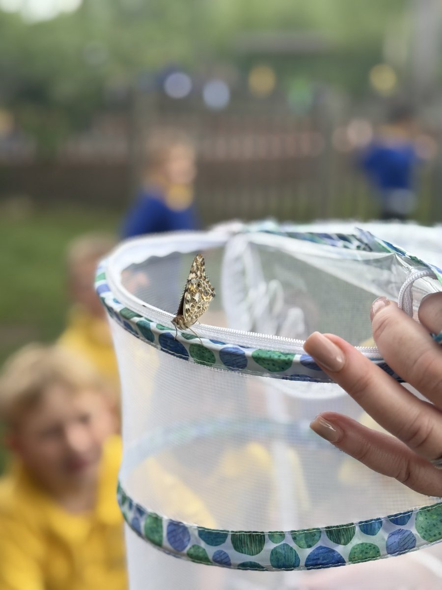 Canon Sharples Reception (@canon_reception) on Twitter photo After a couple of weeks of watching them grow and transform, it was time to say goodbye to our beautiful butterflies this morning! ππ¦ <a href="/Cornerstonesedu/">Cornerstones Education</a> <a href="/CanonSharples/">Canon Sharples CE Primary School and Nursery</a> <a href="/LT_Trust/">Learning Together Trust</a> After a couple of weeks of watching them grow and transform, it was time to say goodbye to our beautiful butterflies this morning! ππ¦ <a href="/Cornerstonesedu/">Cornerstones Education</a> <a href="/CanonSharples/">Canon Sharples CE Primary School and Nursery</a> <a href="/LT_Trust/">Learning Together Trust</a>