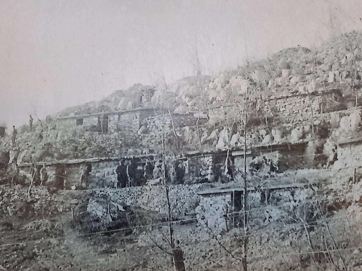 Roberto Bertoli tweet media