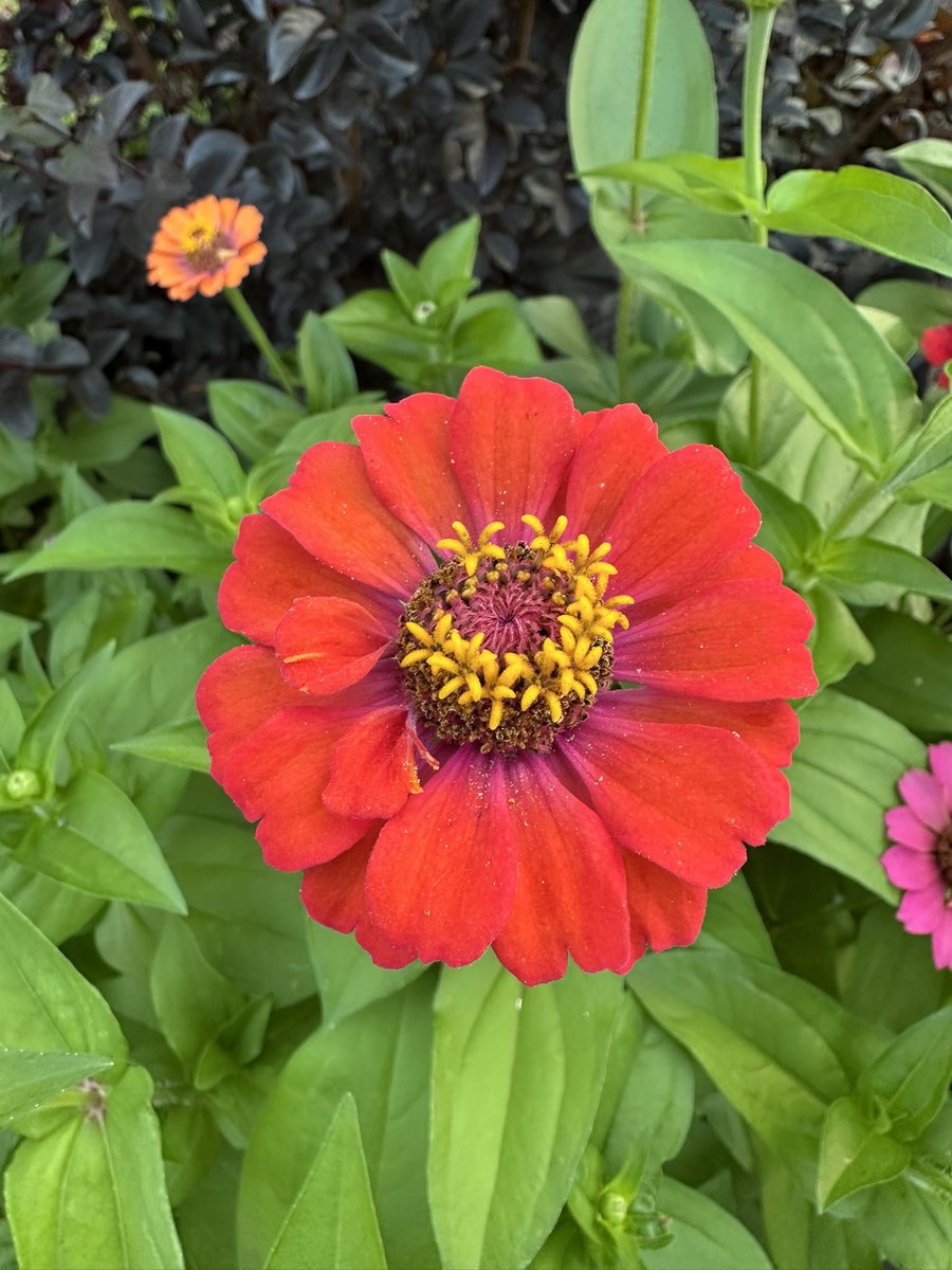 Enjoying the sunshine, but it’s way too hot ☀️