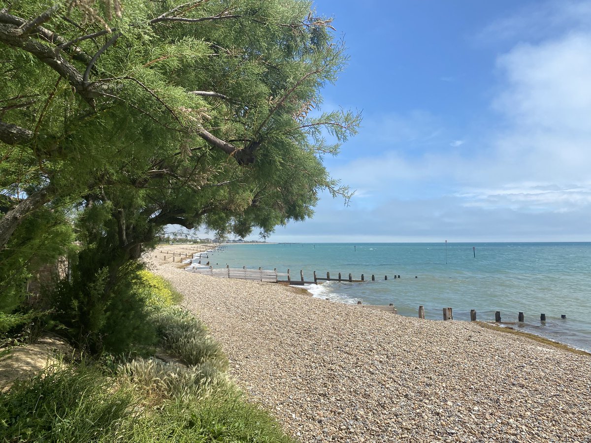 #Bognor summers
