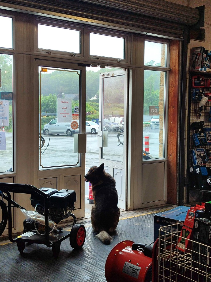 ToolsGarage's tweet photo. Well, the weather in Ireland today is so 'refreshing' that even our dedicated security dog, is refusing to step paw outside! 🌧️🐶

H14 K659

#RainyDayVibes #IrishWeather #HowdenTools #StayOccupied #ShopLocalIreland https://t.co/UK7zuLDF7U