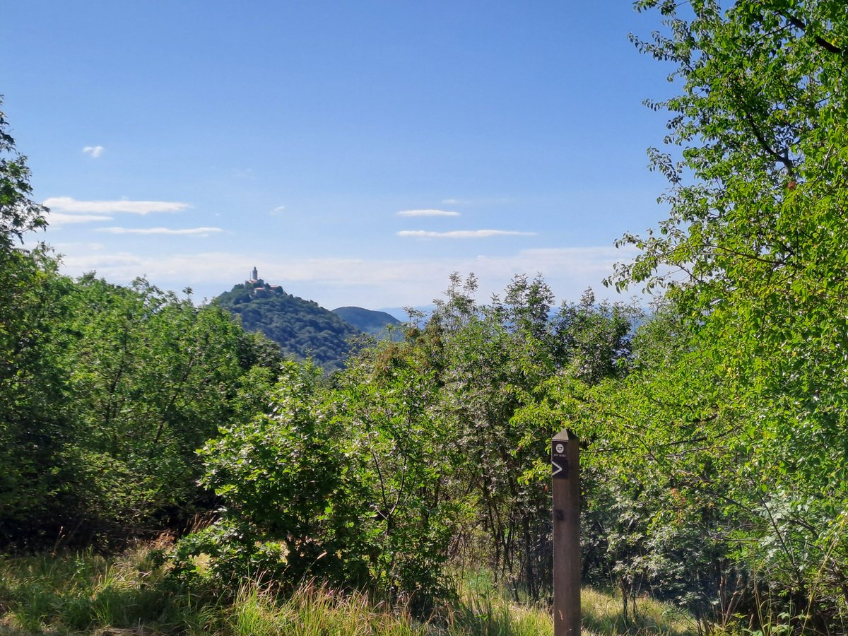 Roberto Bertoli tweet media