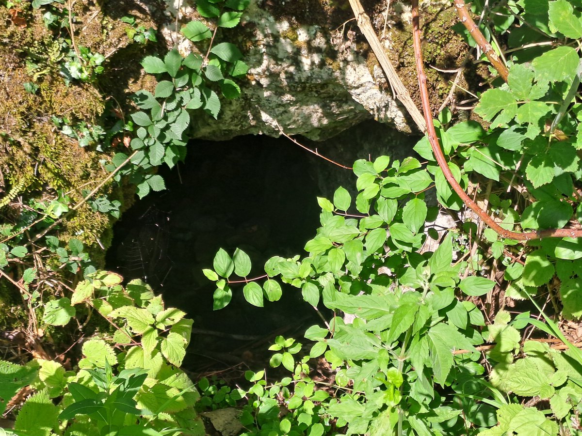 Roberto Bertoli tweet media