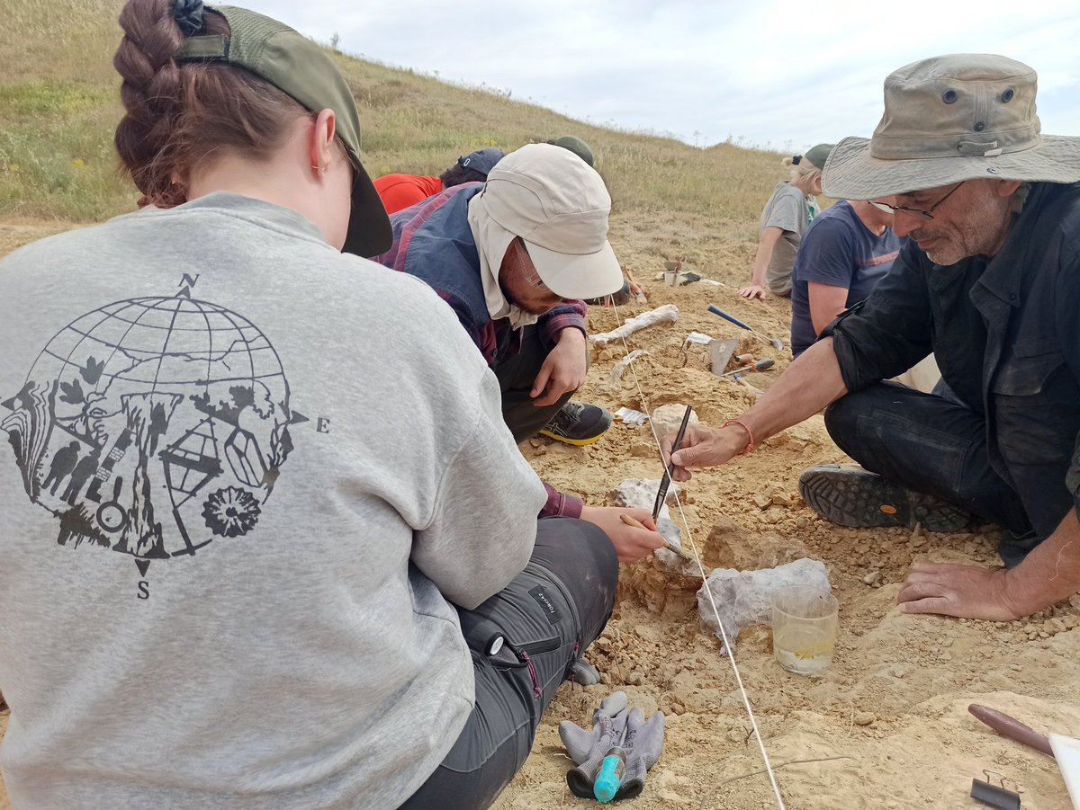 Godzillin's tweet image. Investigadores de la @UNED y de la @usal hallan en #Zamora el esqueleto más completo de un #cocodrilo terrestre del #Eoceno en Europa:
▶️ uned.es/universidad/in…
▶️ saladeprensa.usal.es/node/139245
#Eocene #crocodiles
