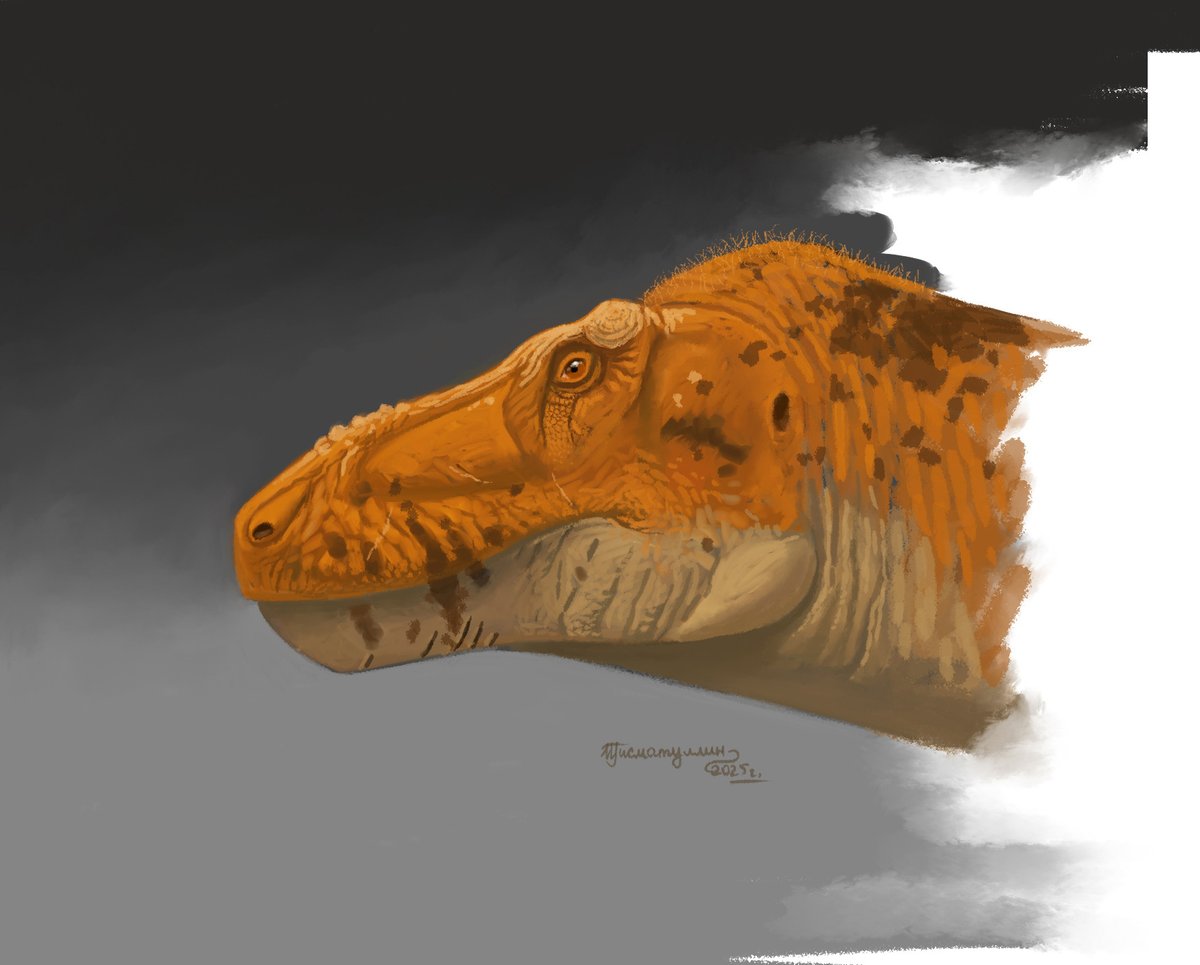 ildarotyrannus's tweet image. An experimental portrait of Tarbosaurus bataar. Here I tried brushes imitating oil paint and charcoal. Tarbosaurus is a close relative of T. rex, known mainly from specimens of different ages from the Maastrichtian of Mongolia. Done in Adobe Photoshop.

#paleoart #dinosaur