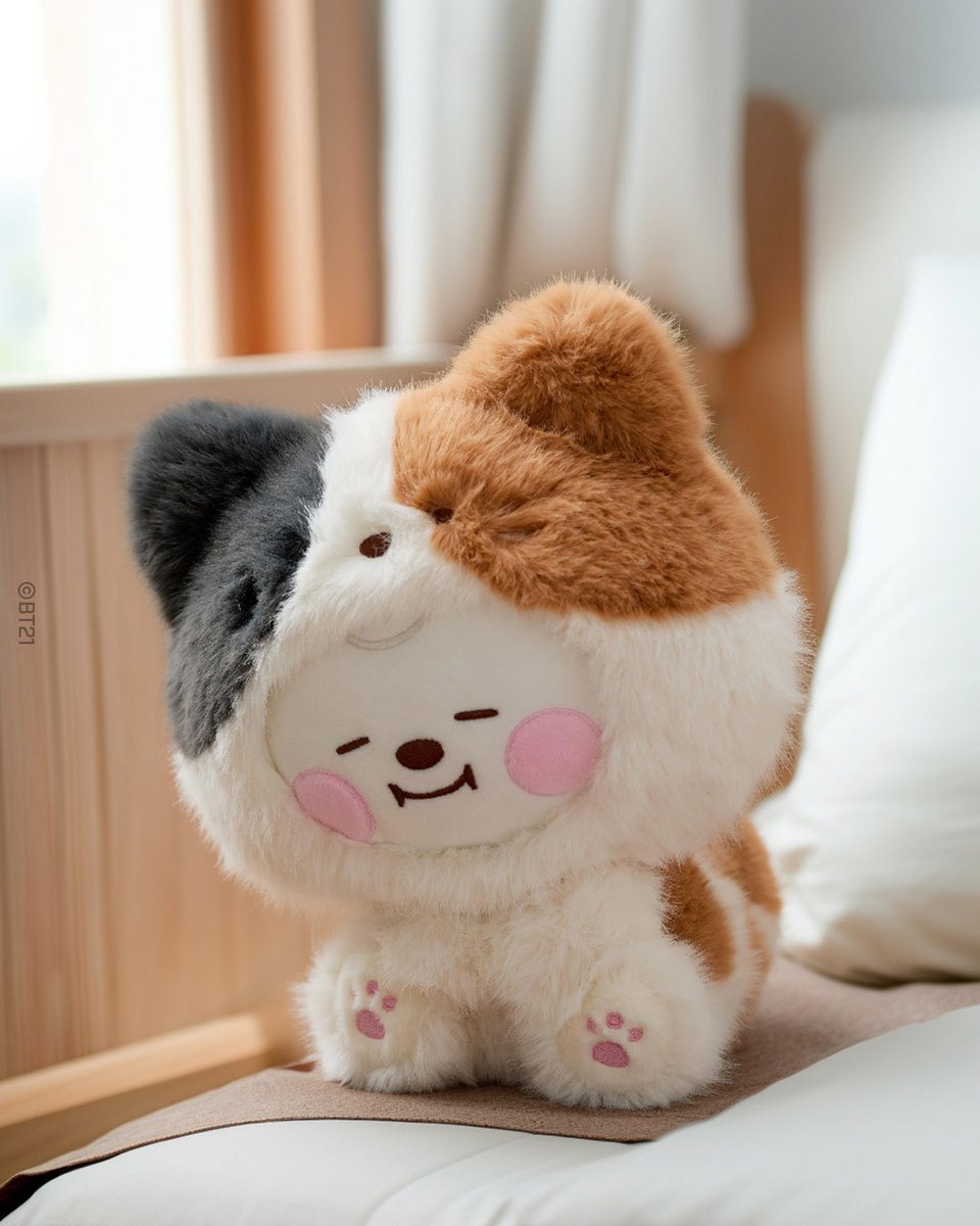 cat jimin pics tweet media