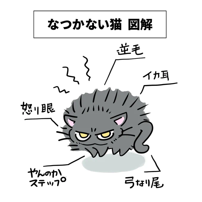 なつかない猫 図解
#なつかない猫 