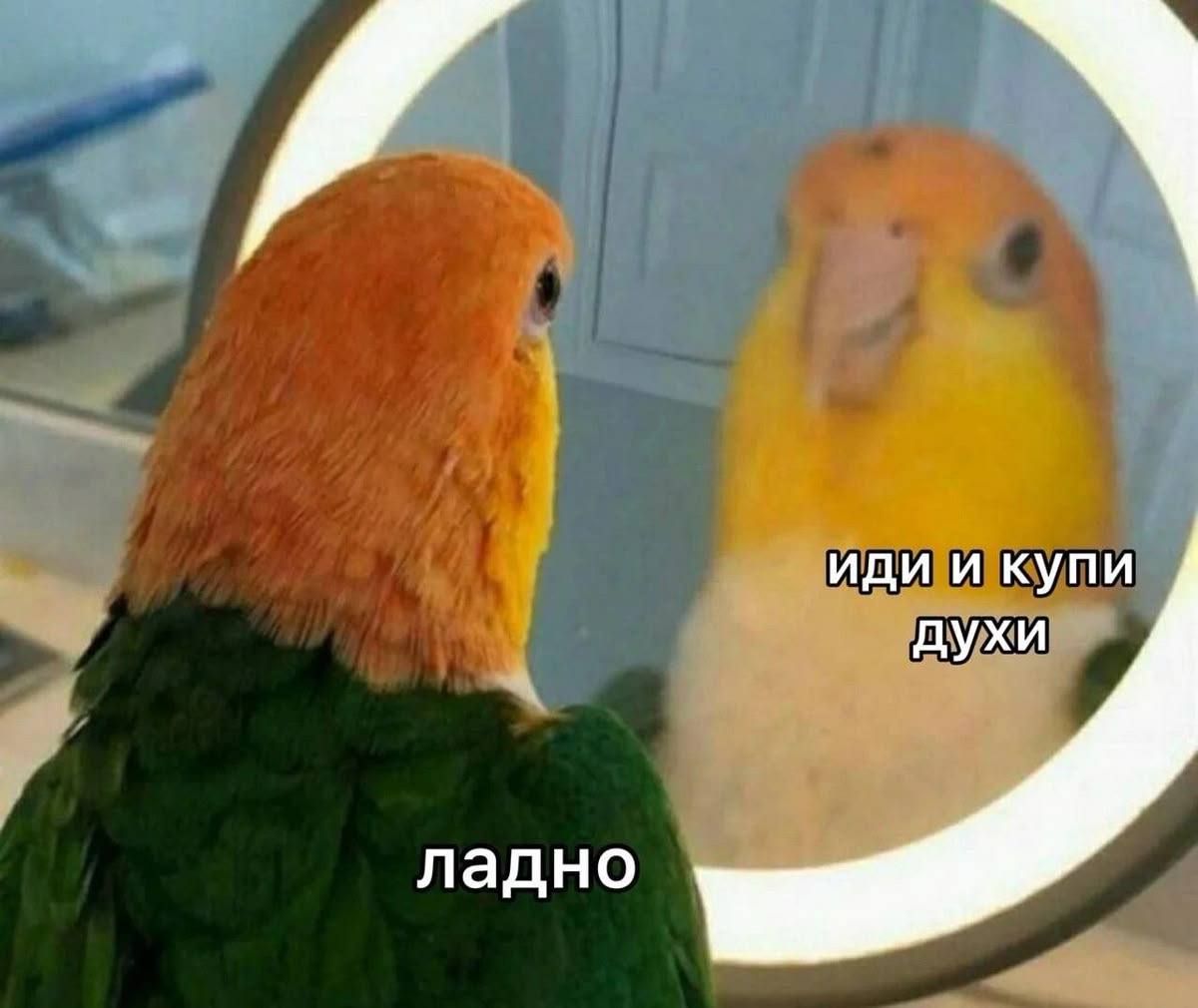 Мы бесконечно ругаем маркетплейсы. Но главный виновник того, что они так быстро растут и тратят все наши деньги и не дают зарабатывать продавцам, - вот этот самый чел в отражении