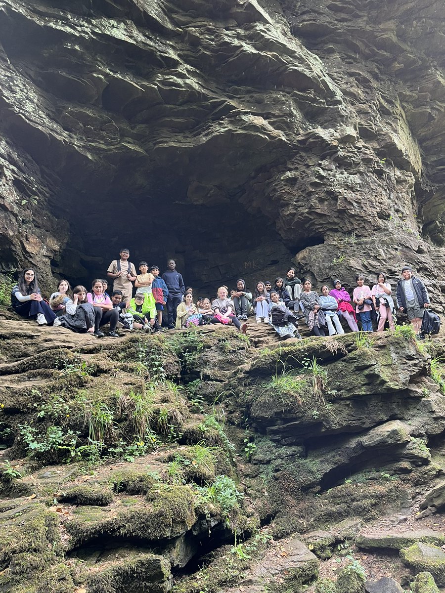 Wingrove Primary tweet media