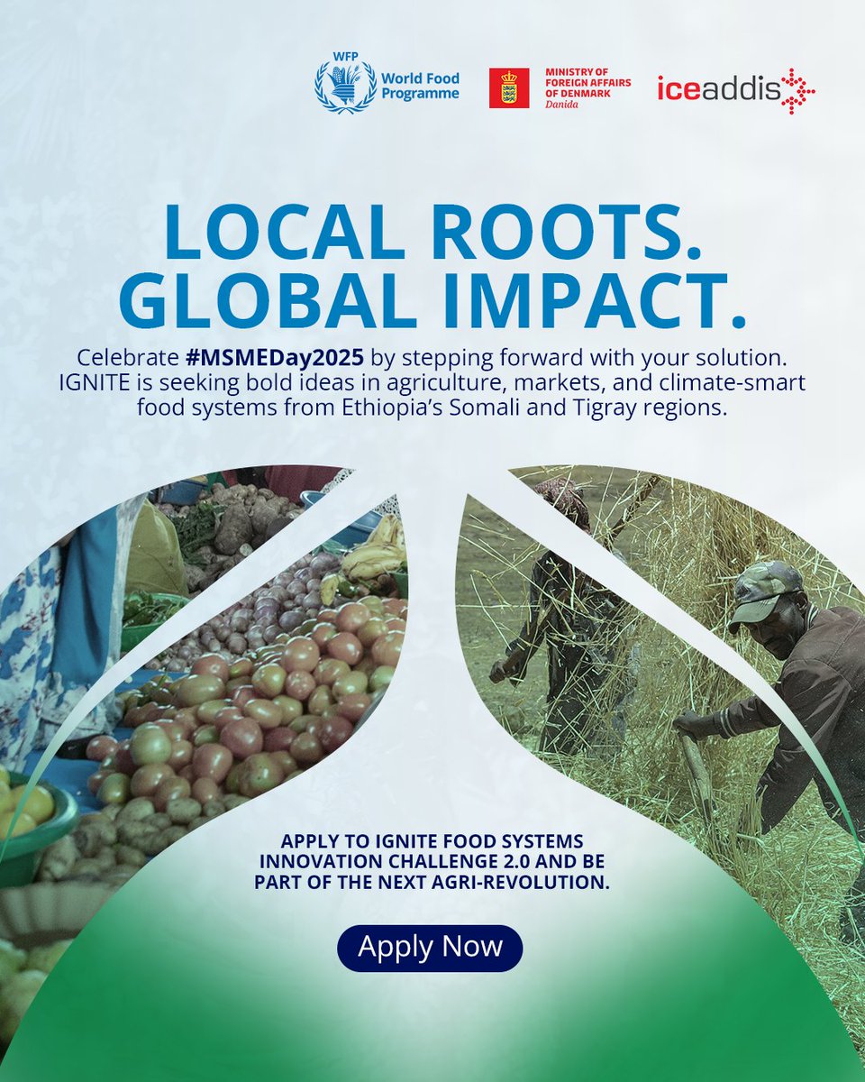 🚀 This #MSMEDay, we're celebrating the vital role of micro, small, and medium enterprises (MSMEs) in transforming food systems and advancing climate resilience.

Are you an innovator working to boost agricultural productivity, strengthen value chains, or expand digital market