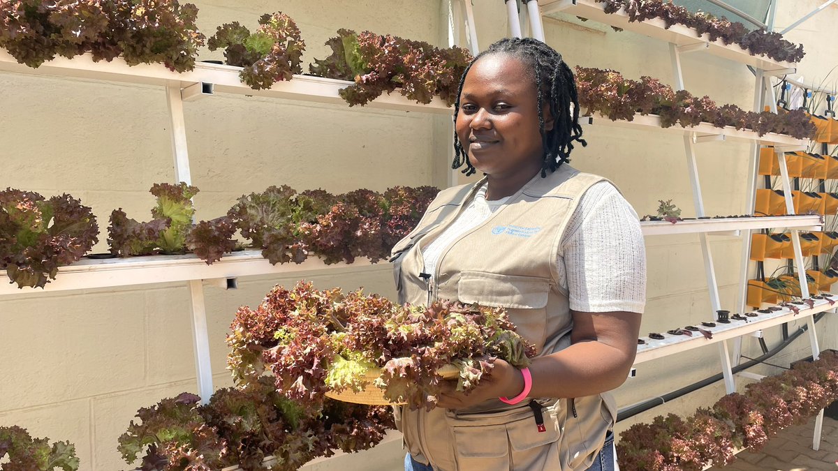 FAO in Uganda (@faouganda) on Twitter photo Today we celebrated our first harvest from the hydroponics unit at the <a href="/FAOUganda/">FAO in Uganda</a> office.
A symbol of our commitment to innovation, sustainable food systems, and a healthy workplace that brings us together.
Our acting Rep. <a href="/TaagesB/">Yergalem Taages Beraki</a> joined in the moment. Today we celebrated our first harvest from the hydroponics unit at the <a href="/FAOUganda/">FAO in Uganda</a> office.
A symbol of our commitment to innovation, sustainable food systems, and a healthy workplace that brings us together.
Our acting Rep. <a href="/TaagesB/">Yergalem Taages Beraki</a> joined in the moment.