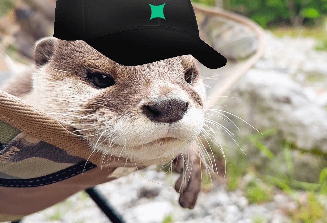 pipextended's tweet image. You knew the trade was wrong. But you held it anyway. Why?