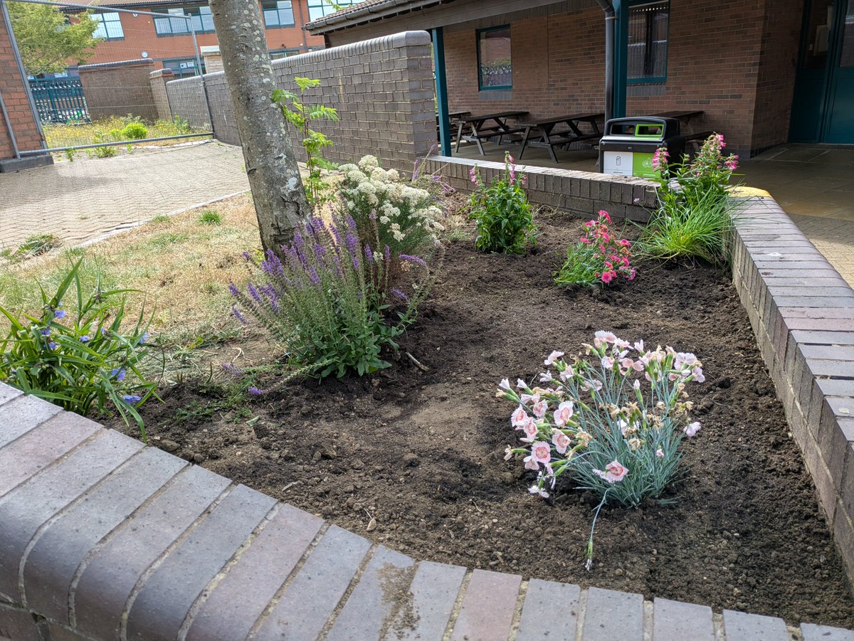 What a great effort from our students who volunteered to help plant some more beautiful flowers purchased thanks to our National Education Nature Park grant. They've worked really hard and now we have another lovely area planted and increasing biodiversity around the school.
