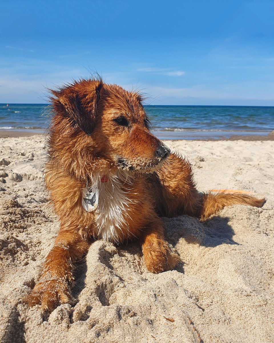 Sommerurlaubsgrüße ☀️ von Folgenreich (gut versteckt am Strand 😎)!