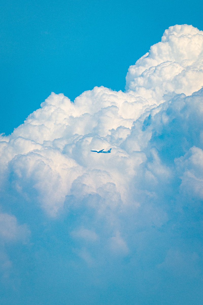 今日の空です！
そうです！
たぶんもう夏です！