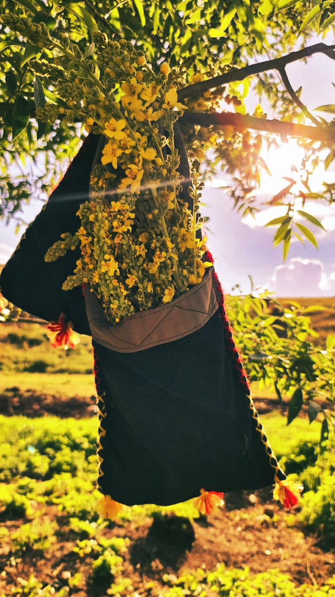 Yorgun bir bedene verilebilecek En İyi şey 
Muhtemeldir Can Suyu olur