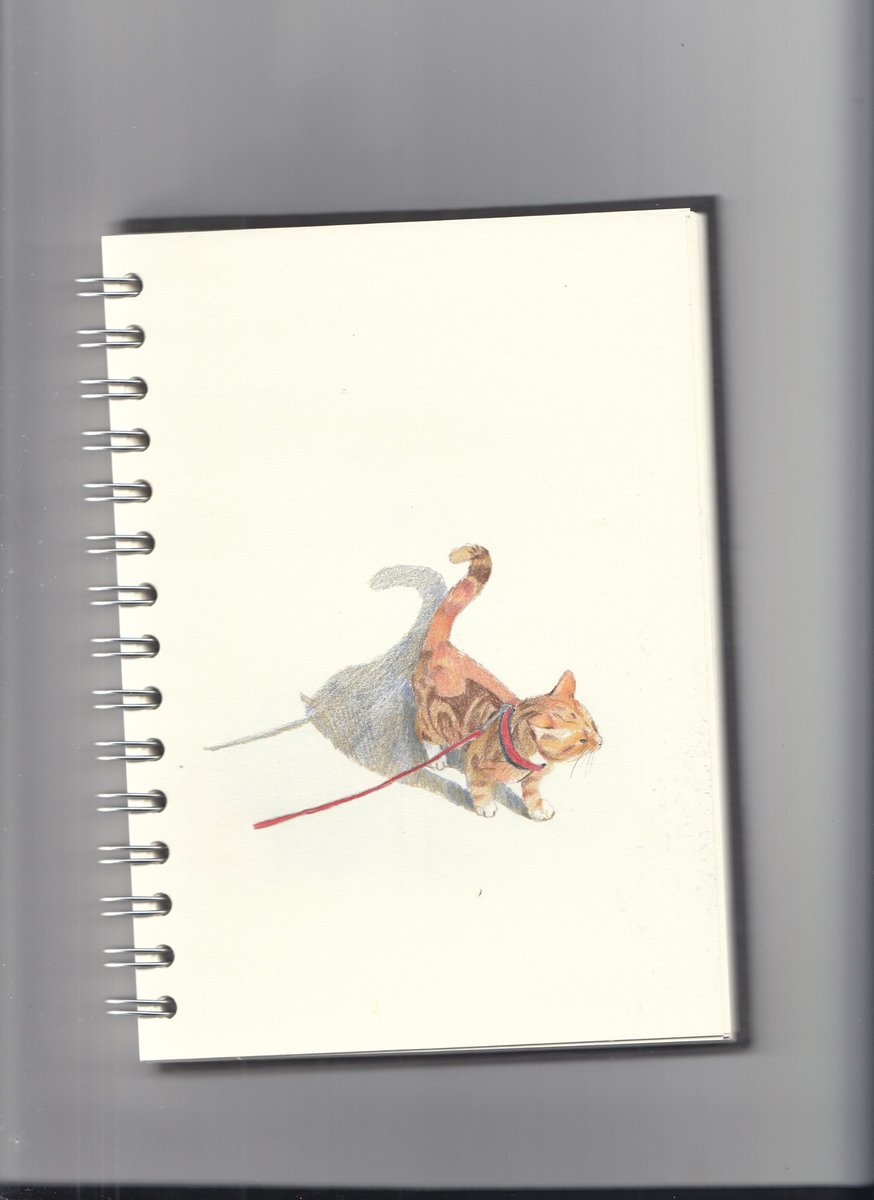 piss_brain's tweet image. i love to draw the cat