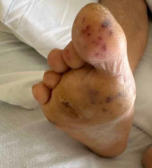 PPID Journal tweet media