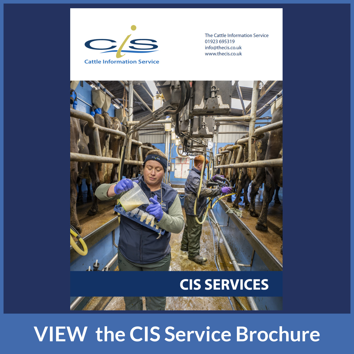 We analyse milk, blood or tissue samples to provide insight into dairy herd performance, supported by our team of Area Managers 

👀 VIEW the CIS Service Brochure: - thecis.co.uk/cis-service-br…