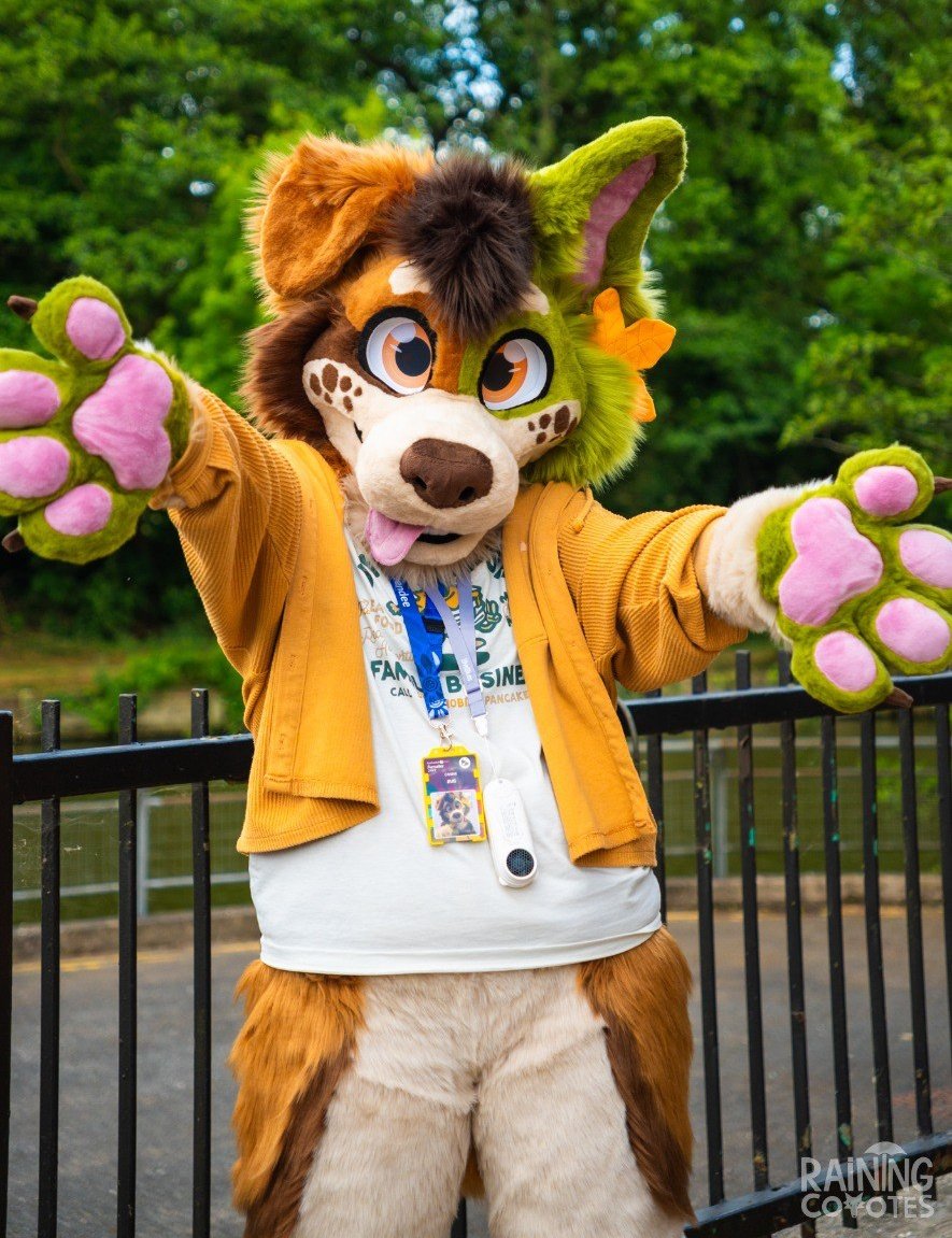 Bᴜɢ 🌱 (@bugyapper) on Twitter photo Well done for getting through another week! This dog is rootin for you 🐶
#FursuitFriday
📷: <a href="/rainingcoyotes/">🦴 Rain 🔜 Megaplex 🦴</a> Well done for getting through another week! This dog is rootin for you 🐶
#FursuitFriday
📷: <a href="/rainingcoyotes/">🦴 Rain 🔜 Megaplex 🦴</a>