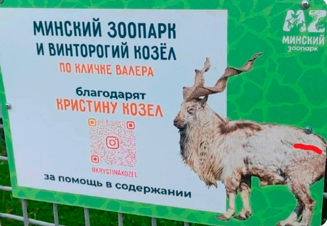 Alexey Weiss, MD 🇮🇱🇺🇦 tweet media