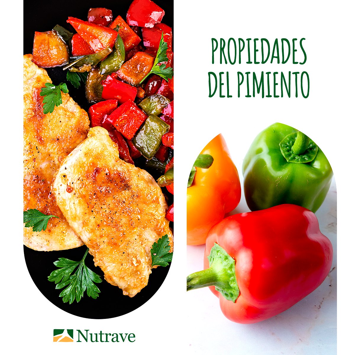 🫑🍗 Añadir #pimiento a tus platos de #pollo no solo realza el sabor, ¡también aporta beneficios! 
Es rico en vitamina C, antioxidantes y ayuda a la digestión. Salud, color y sabor en un solo ingrediente.