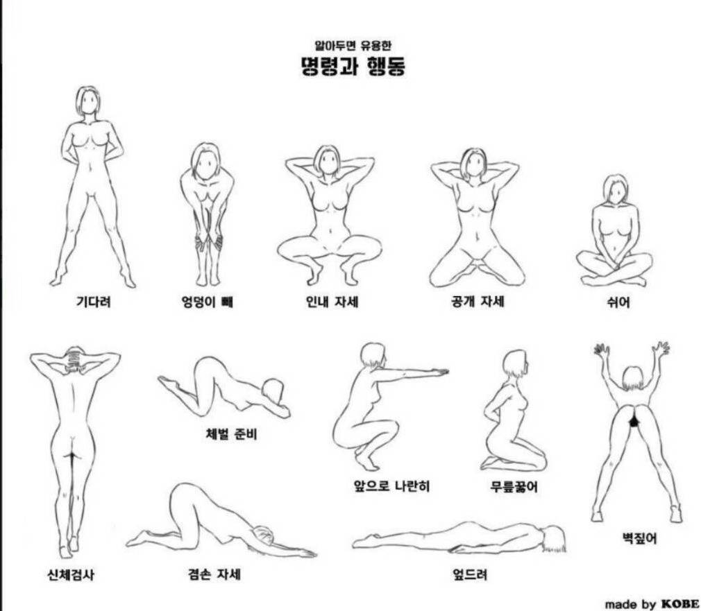 cheseuti1's tweet photo. 수치자세 모음

인내랑 공개가 젤 수치스러운듯..

#멜섭 #섹트 https://t.co/CXCyOQBTCD