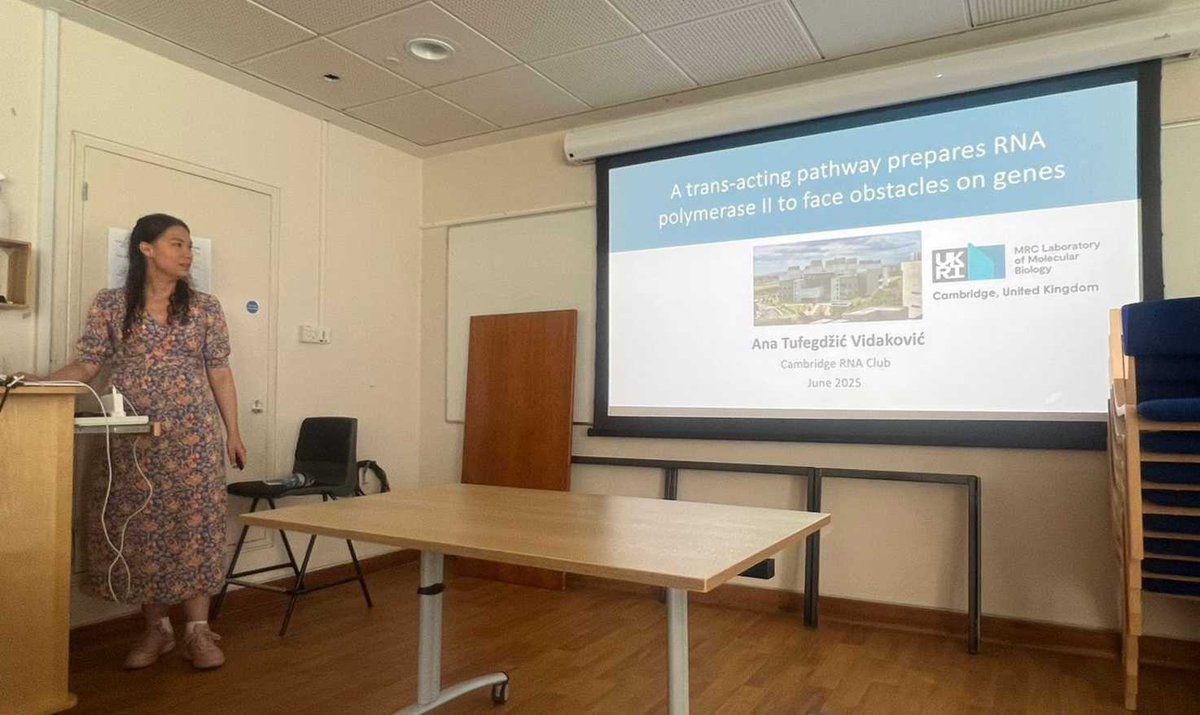 CambridgeRNA's tweet image. What a fantastic RNA Club session yesterday! 🎉
A packed room, two brilliant talks by @T_Kamenova @CamBiochem and @ana_tufegdzic @CellBiol_MRCLMB  , and the perfect summer vibes with our special drinks in the garden ☀️🧃
Huge thanks to everyone who joined us! 💬🧬