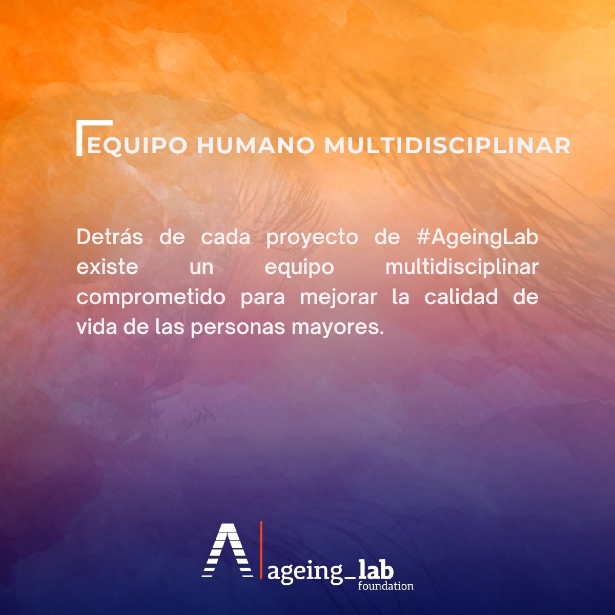 👨🏻‍💻​👩🏻‍💻​💼🔎​Cada proyecto de #AgeingLab está elaborado por un equipo multidisciplinar comprometido para mejorar la calidad de vida de las personas mayores.

🌐​Visita ageinglab.com y conoce todos los proyectos que realizamos.

#AgeingLab #InnovaciónSocial #Conocimiento