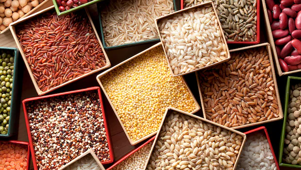 NDTVFood's tweet image. [Partner Content] From khichdi to dosas and even noodles, these millet staples from @AmazonFresh are just what you need to satisfy monsoon cravings — no fuss, all comfort
food.ndtv.com/food-drinks/ra…
#amazonfresh #millets #monsoon