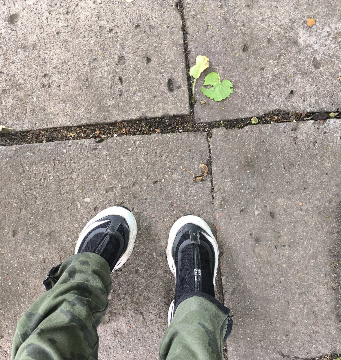 Witam findom 🧛🏻‍♀️✨ Jestem dostępna na dojenie głosówkami 📩👑✨

#findom #dominacjafinansowa #bogini #dojenie #mommy #femdom #feetworshi̇p #degeneration #humalition #paypigs #drainpig #moneyslavepl #paypig #humanatm #goddess #anime #ATM #cashpig #bankomat #cashmeet

Findom