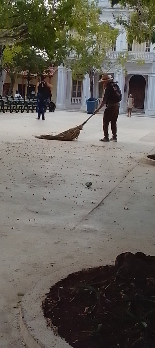 YorgelCisnero's tweet photo. Amanece en #CiegoDeÁvila #Cuba 🇨🇺, en el parque #Martí nos preparamos para la #FeriaDeEmpleo.
Buenos días amig@s de X. https://t.co/rUZOJw0pkD