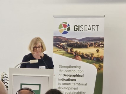 La DOP Valencia defiende la importancia de los sellos de calidad en la conferencia europea sobre indicaciones geográficas celebrada en Bruselas.
🔗 goo.su/mGW1 
#vino #vinoDO #DenominacióndeOrigen #Bruselas