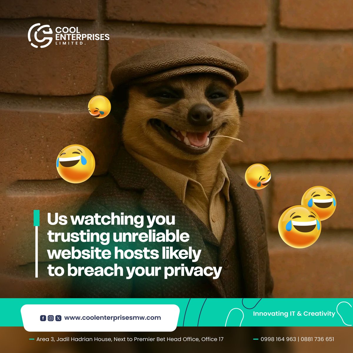 Cool Enterprises Limited tweet media