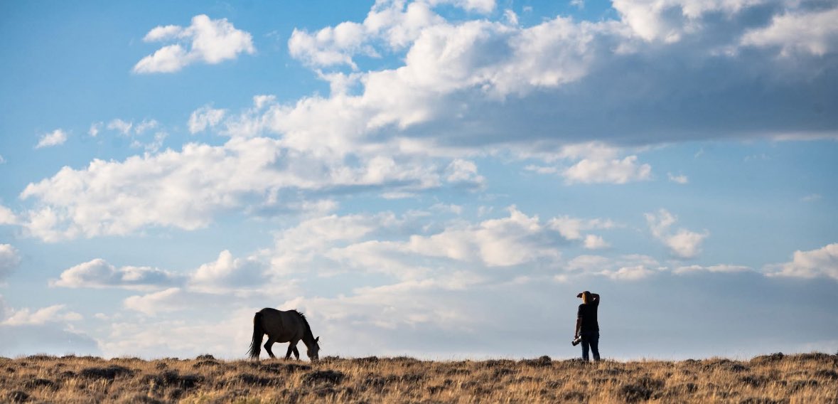 LaboscoSonya's tweet photo. The Rock Springs Grazing Association runs over 150,000 cattle on public land — but they want all 1,000 wild horses gone.
Why? Because their cows eat the grass.
This isn’t management. It’s greed.
#SaveWildHorses #StopTheRoundup #PublicLandsBelongToAllOfUs https://t.co/nvoEtBKpkH