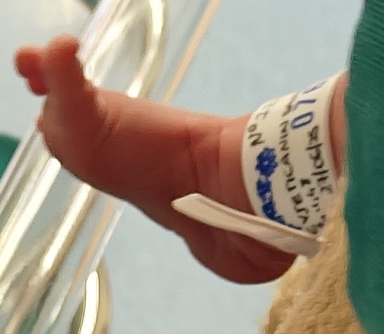 New level unlocked. Doing our part to keep up the population. New baby on board.