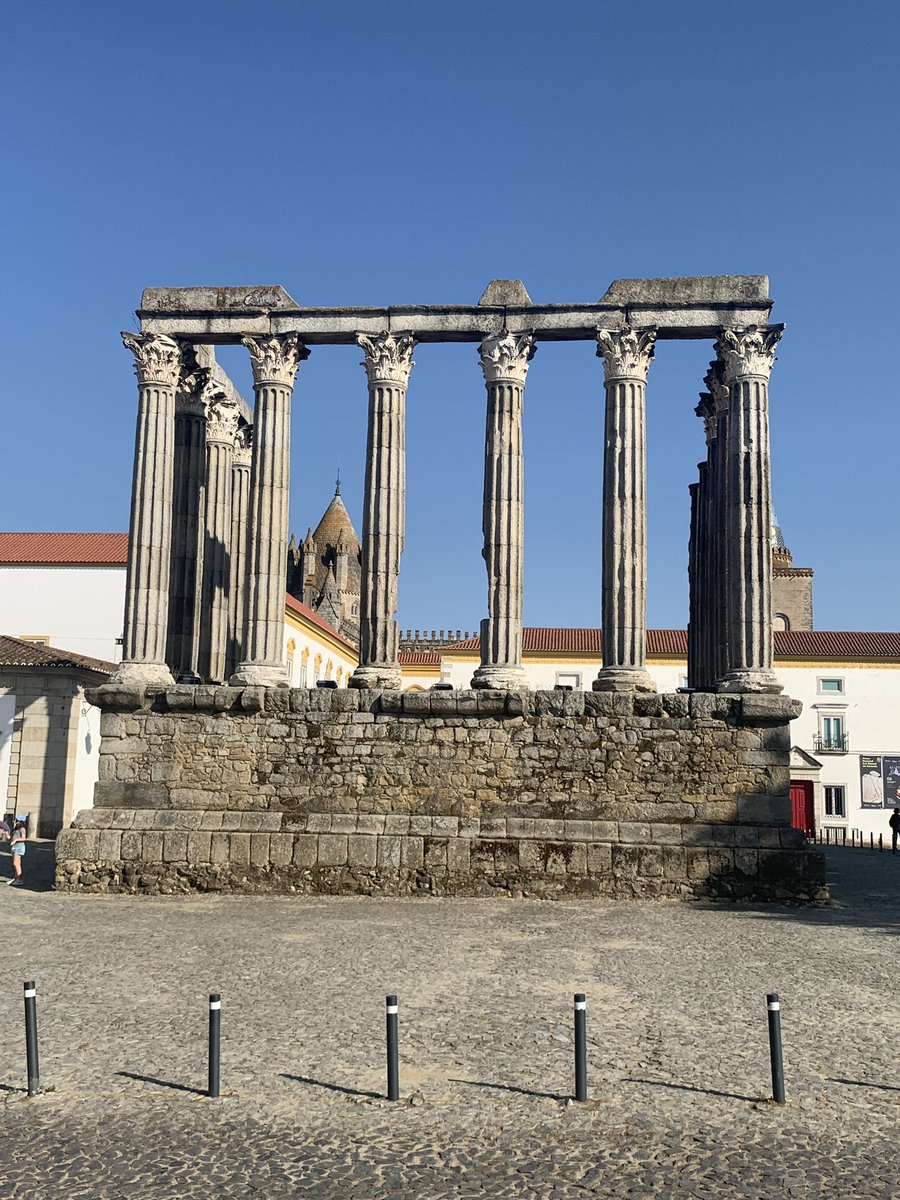 smani_lab's tweet image. I am attending the E-NICHE Annual Meeting in #Évora. 1 of the WG1 topic is to design strategies toidentify the gene networks responsible for the biosynthesis of specialized metabolites. These metabolites could potentially be tested as antimicrobial agents e-niche.eu/news/e-niche-a…