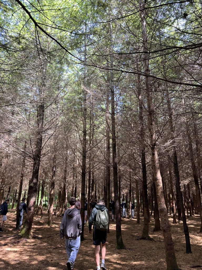 It’s time to leave the #BHBushcraft2025 camp - what a fantastic few days! #BHERA2025