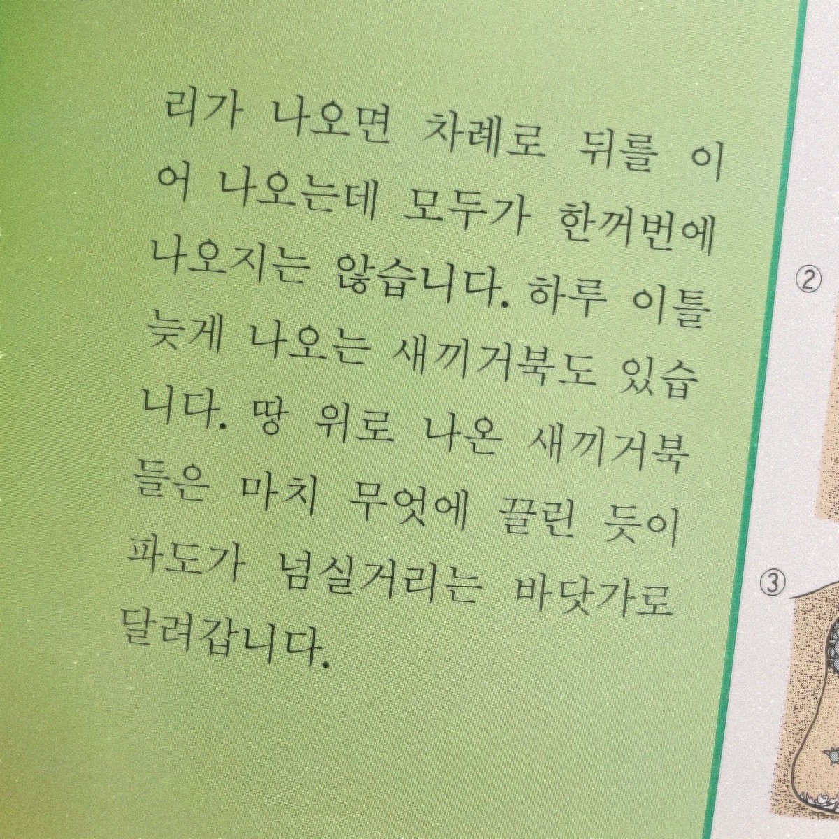 거북의 생활 🐢