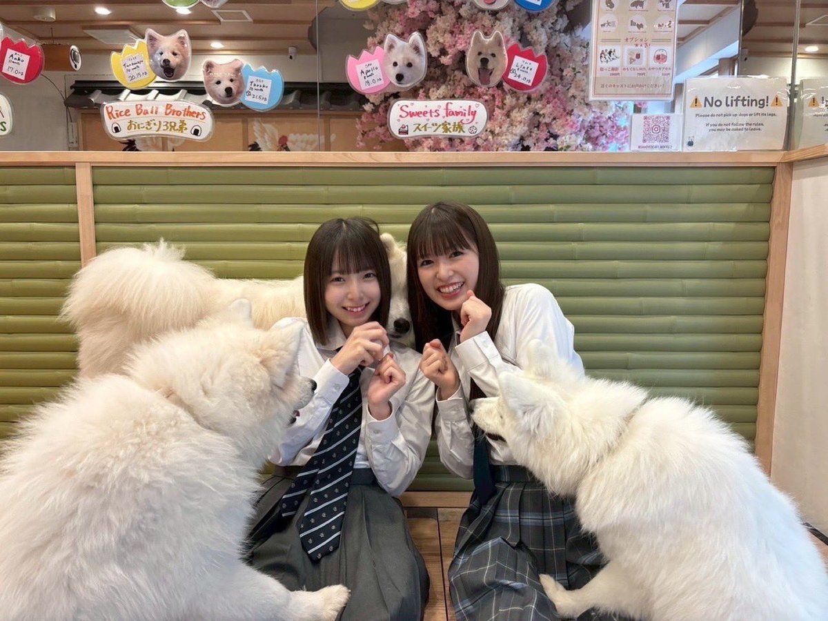 RUI0807ut's tweet image. りなちゃんとあーやがアイドルになってくれただけで人生が彩ってるよ