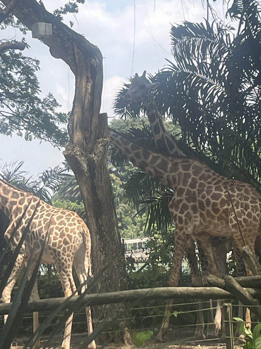 joanna markham tweet media