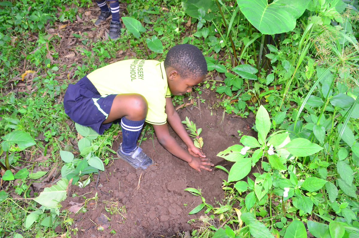 gerald1baguma's tweet photo. When we plant trees with children, we are giving them roots to a connection to nature, to life, and to responsibility. We are also giving them the confidence to take action, speak up, and protect our planet. Let’s inspire them for our tomorrow #ActionNow https://t.co/Mr8kIjIGwC
