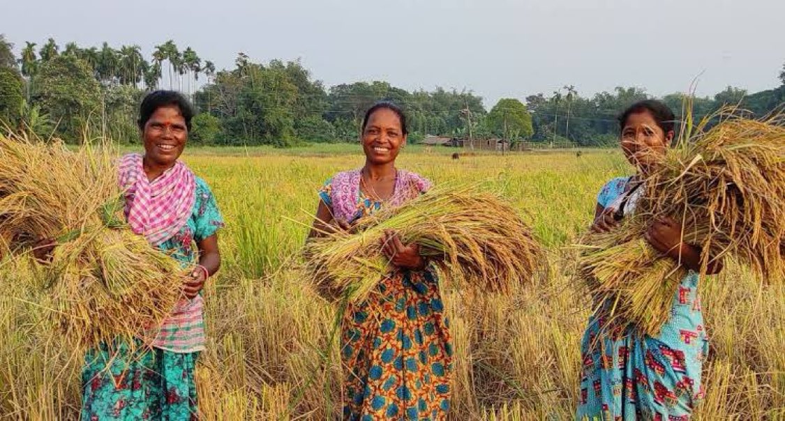 If you want to change a life in rural India with as low as ₹500, please lend to a farmer or rural entrepreneur through rangde.in - create impact and get repaid with interest!